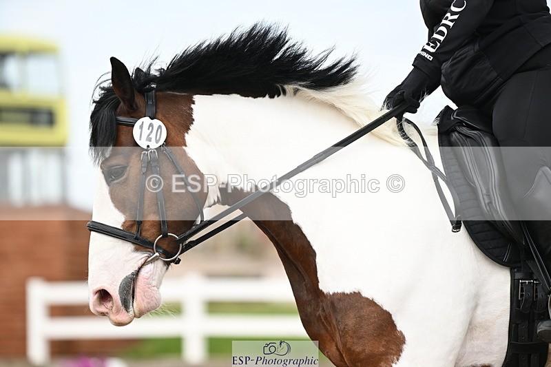 240621A-170037-06102 - Cls 7 Team Quest Prelim 18