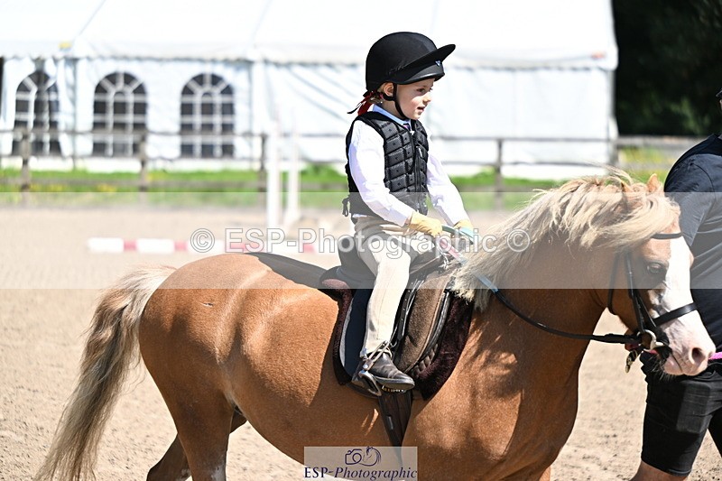 240729B-111647-02287 - Showjumping Competition