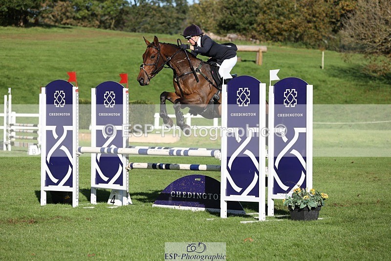 231022-111152-25018 - 617-MR.MISCHIEVOUS-Megan.Brown-TrotUp+SJ