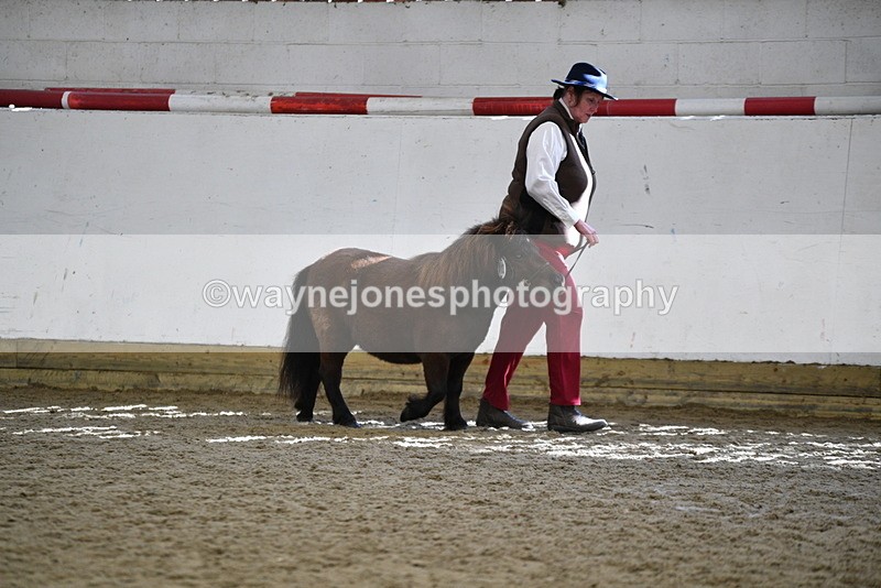 WJ5_5241 - Class 4 In hand M&M - small breeds