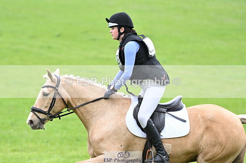 250419-125947-10480 - 523-Kate.Hicks-SWALLOWCROFT.STARDUST