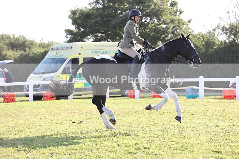 JPP_3463 - Class 22: Working Hunter 90cm