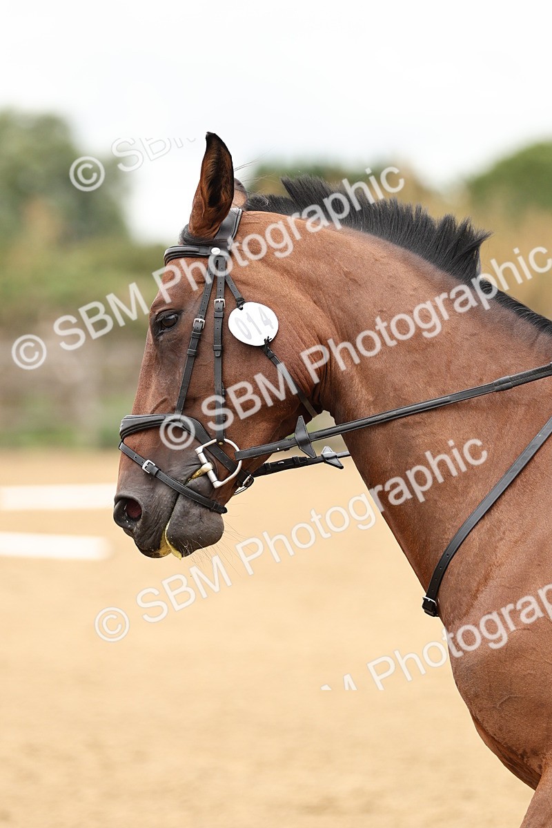 SBM_002190 - Prelim 1