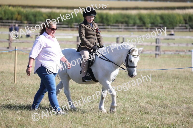20260906-2162 - Class 16 - Family Pony