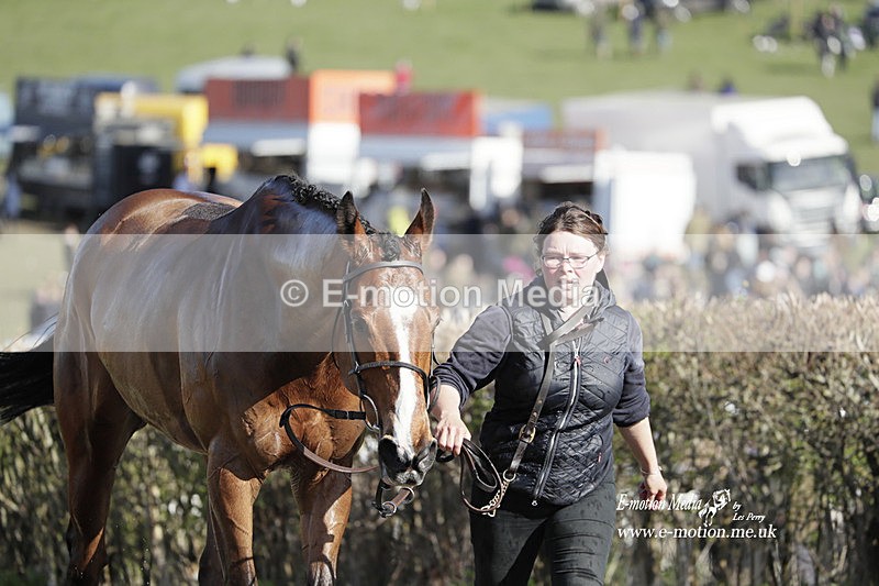 PtP 100423 1184 - Old Berkshire Point-to-Point Lockinge 10/04/23