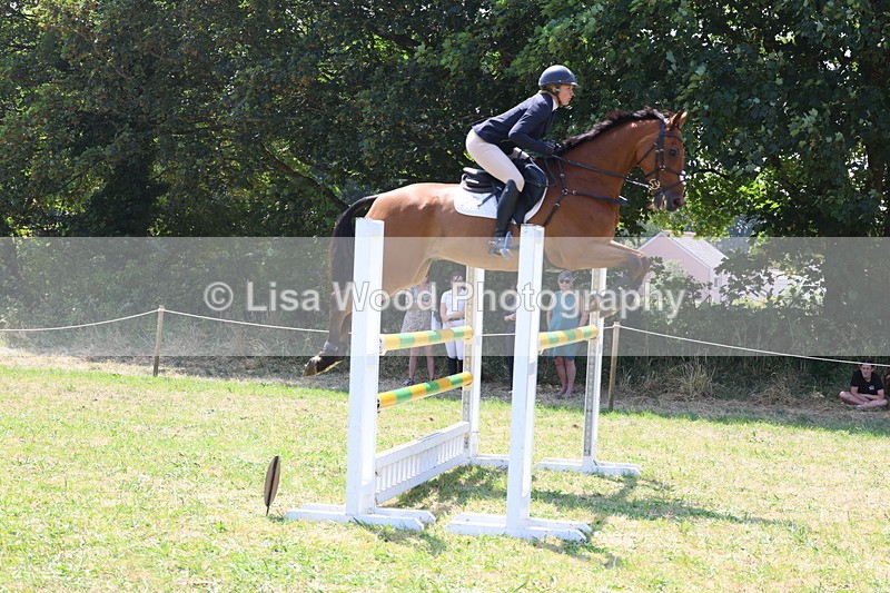 3E7A3343 - Class 10: Senior Foxhunter/1.20 open