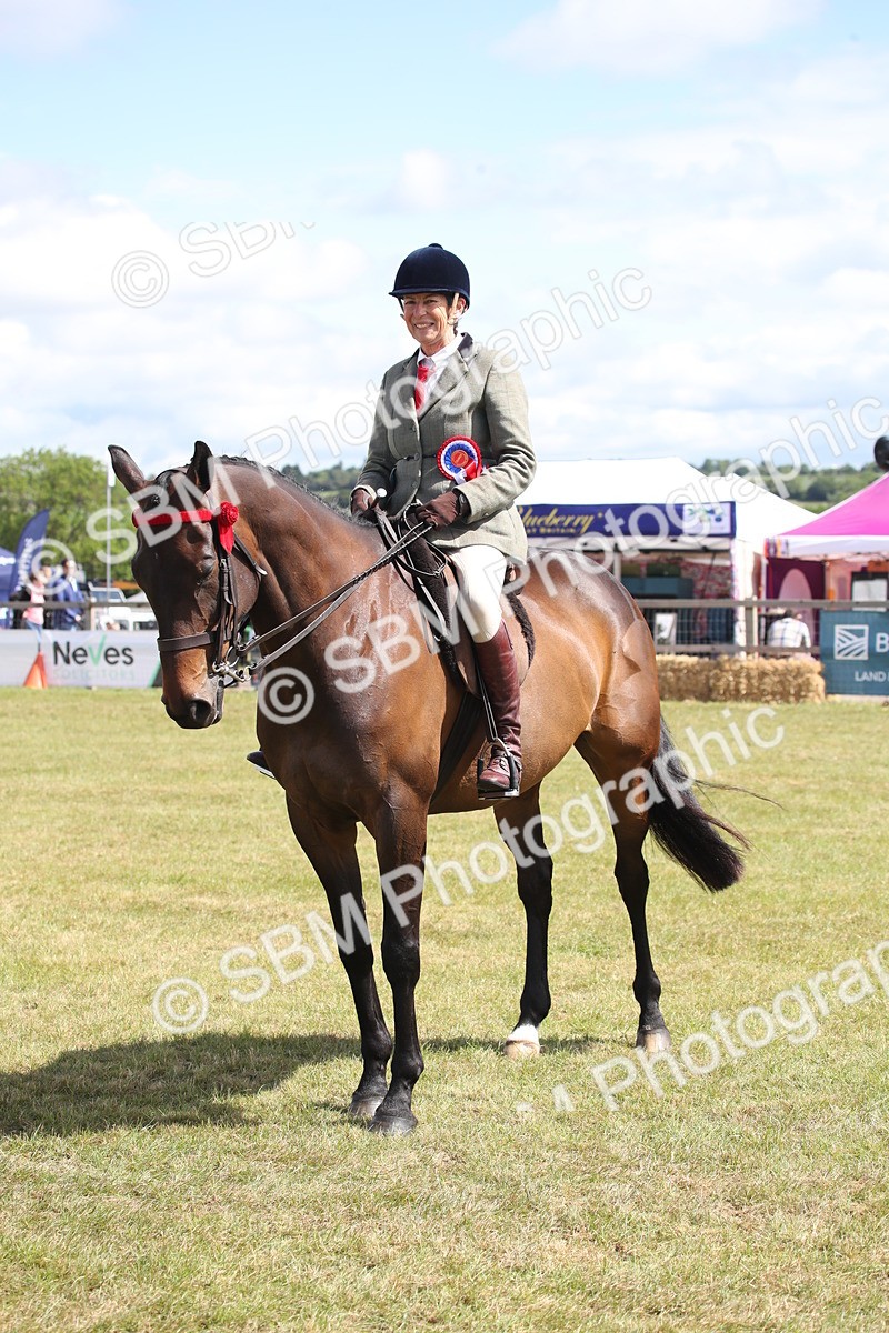 SBM_13337 - Class 95-96 - LIHS BSHA Rising Star Hack Riding Horse