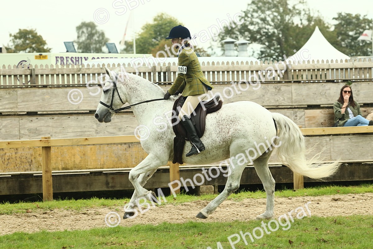 SBM_72051 - S60 - Mountain & Moorland Ridden Large Breeds