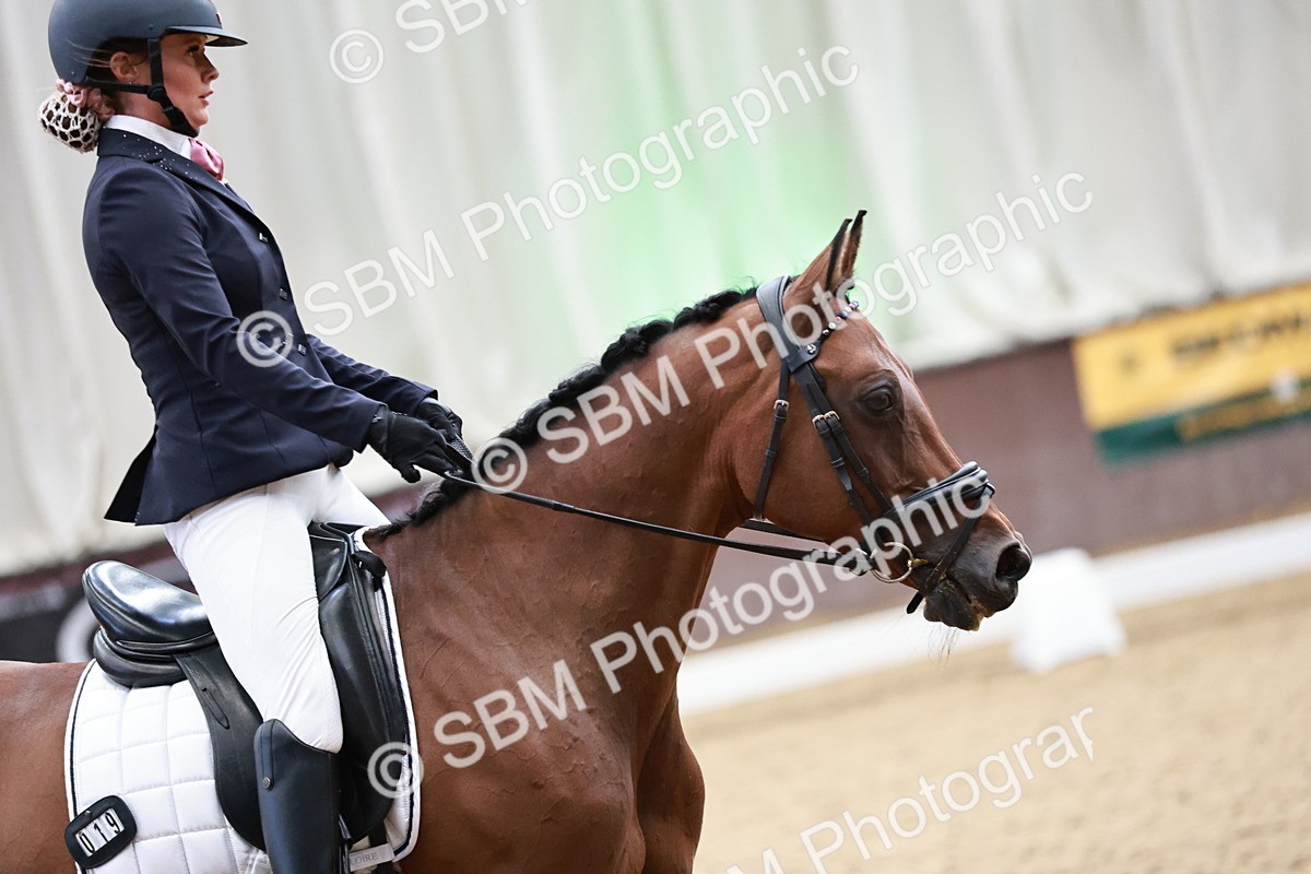 SBM_014116 - Class 7 - Ele FSM Bronze 12.12.13.08