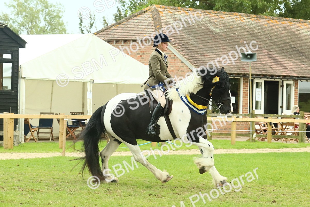 SBM_75163 - Super Supreme Championship