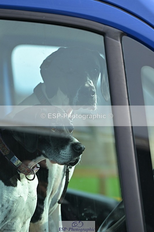 241004A-152124-02726 - Fri 12 1.15m Members Cup