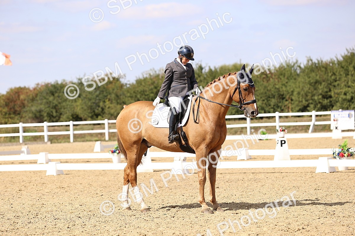 SBM_015076 - Class 6 - Elementary 5