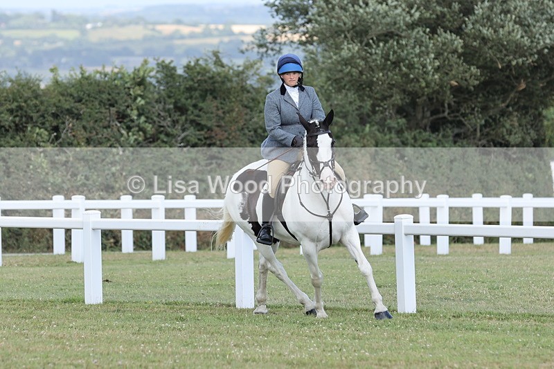 JPP_2374 - Class 19: Working Hunter 60cm