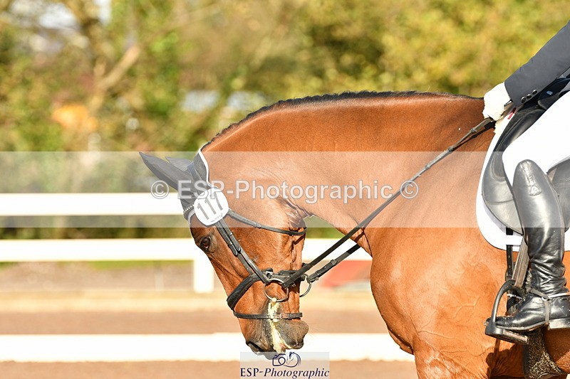 231104A-131811-00624 - Cls 11 Medium 75