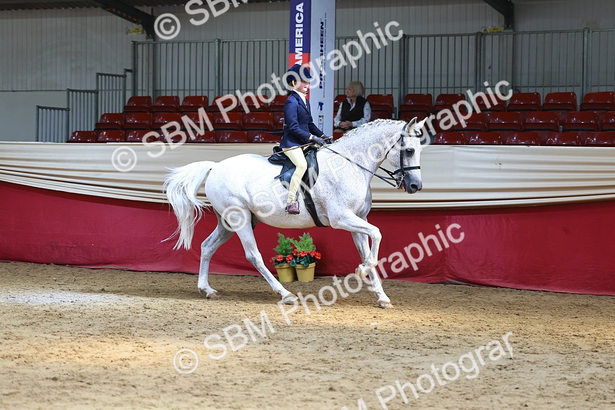 SBM_23913 - Class 905 - Supreme Final - Ridden Veteran