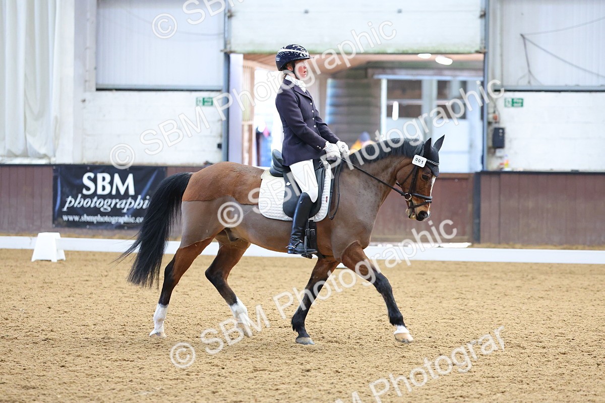 1I0A8771 - Class 4 - Novice 4