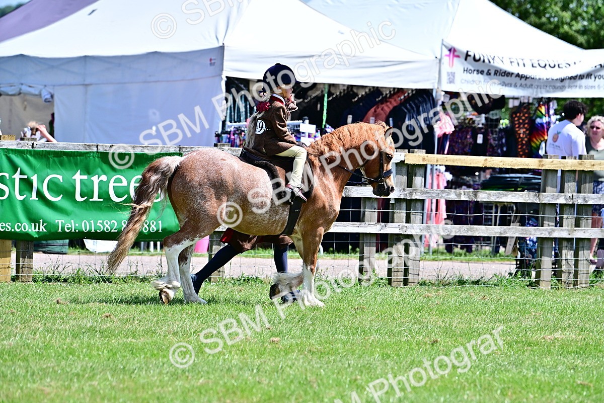 SBM_05756 - Class 59-60 - TSR M&M  Lear Rein and First Ridden Amateur of the year