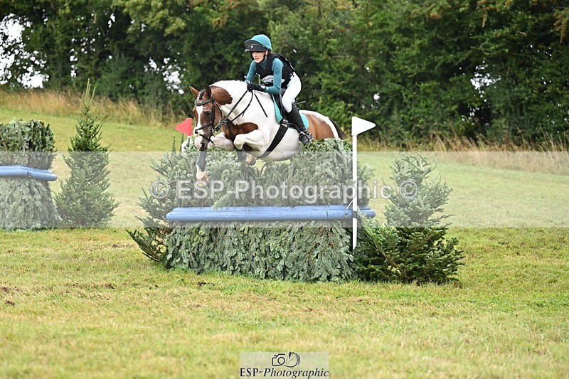 TS_b1744384 - SAT BE 90 Recovered Files fence 8