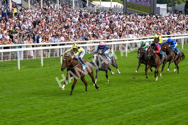 280625-Race 4-Hankelow-0503 - Race 4 3.40pm Al Basti Equiworld Dubai Novice Stakes