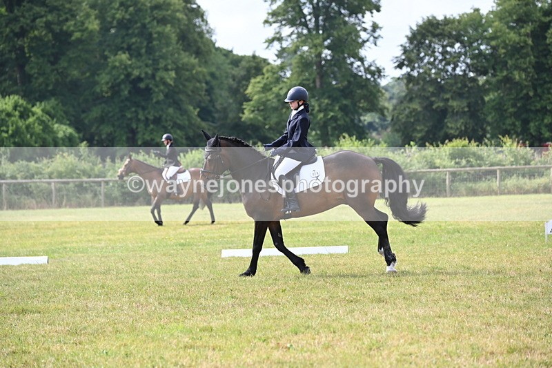 WJ6_5585 - Time 09:00 to 09:42