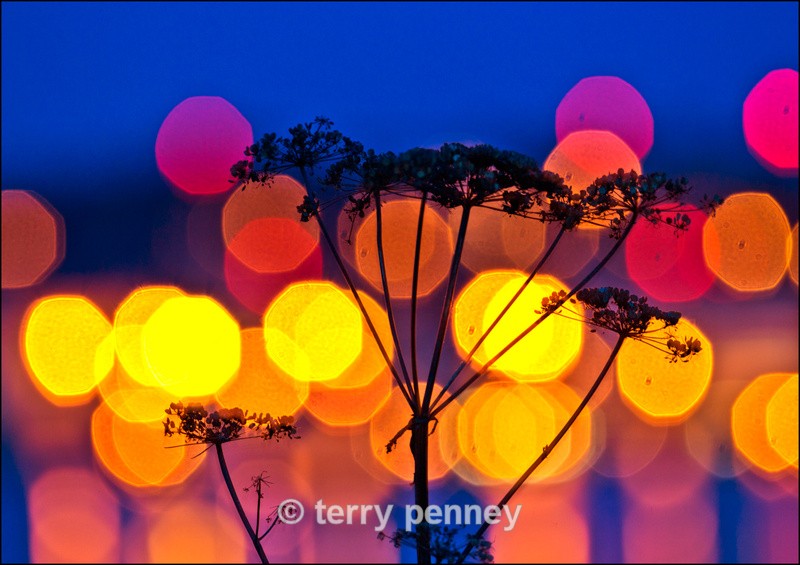 Abstract Lights - Other Images