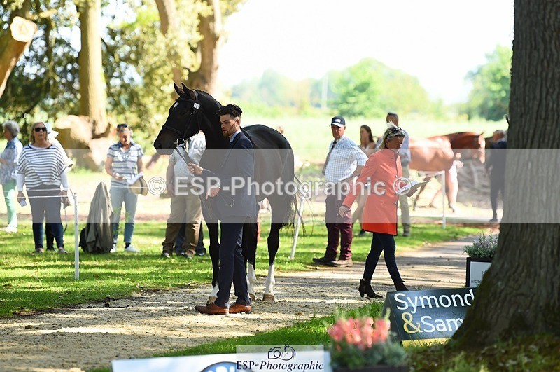 230524-161716-00813 - 258-DHI_KING_NELSON-Barnie_Brotherton-WEDTrotUp+DR