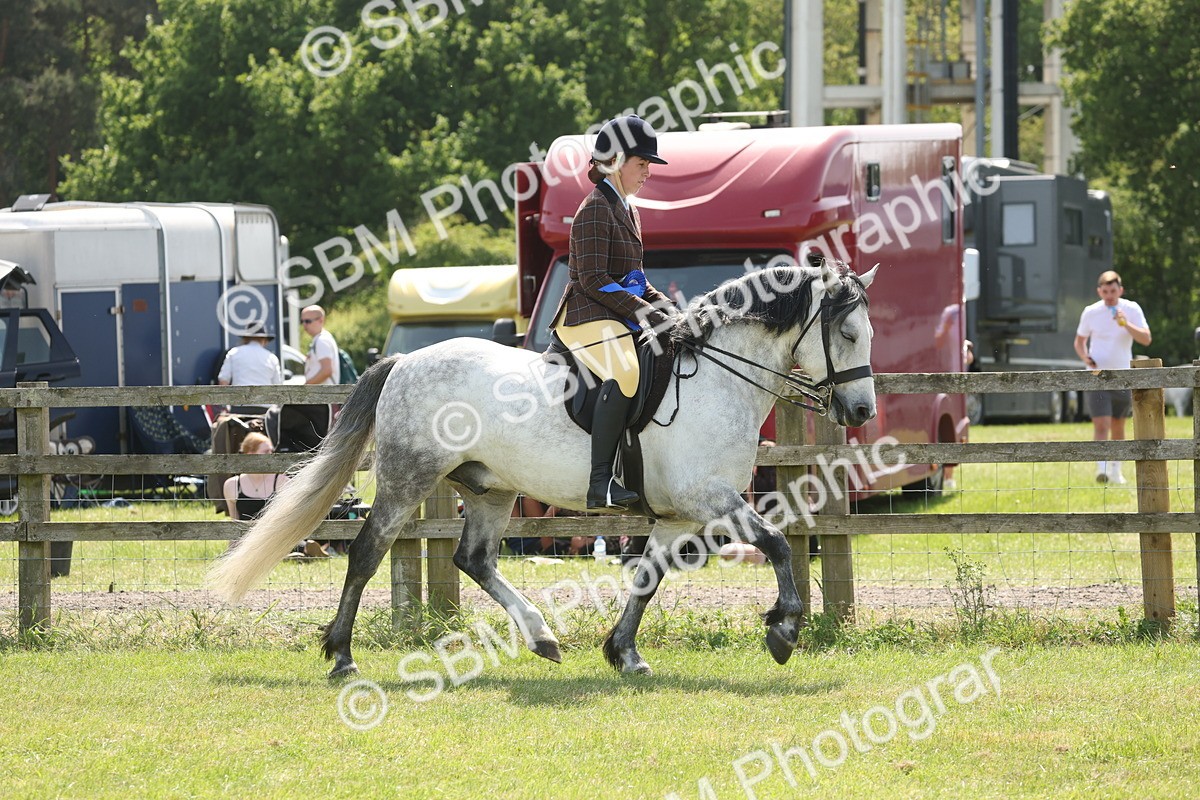 SBM_07650 - Class 26-30 - Mountain and Moorland Ridden