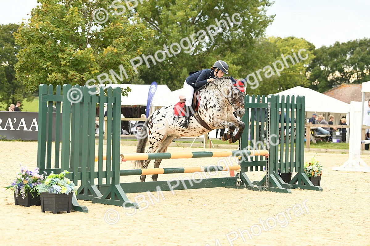 SBM_73096 - J16 - Junior Pony 75cm Championship