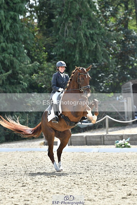 260802A-152152-07371 - Intermediate Bronze