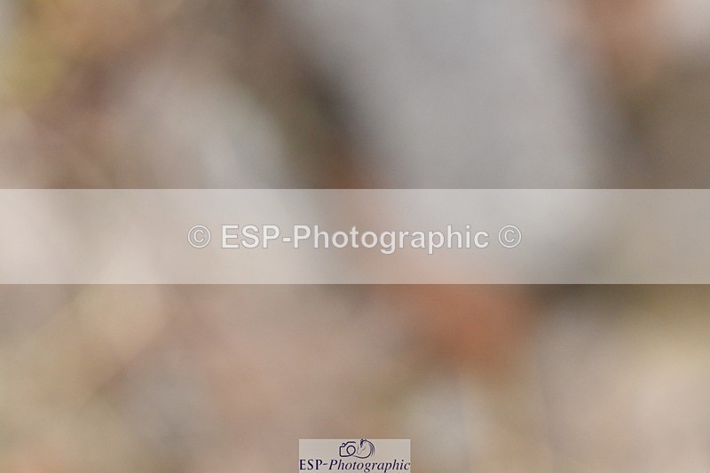 240107A-142420-02153 - UnAff Novice 28 and 30