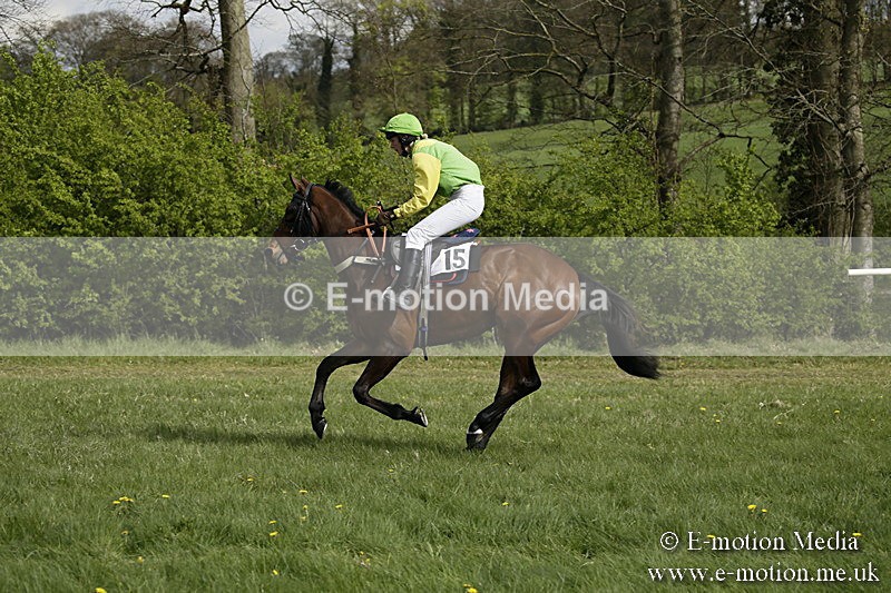 PtP 170417 252 - Old Berks Point-to-Point Lockinge 17/04/17