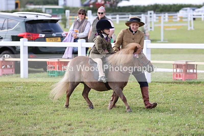 JPP_0216 - Class 14: Cornish Combination Leading Rein