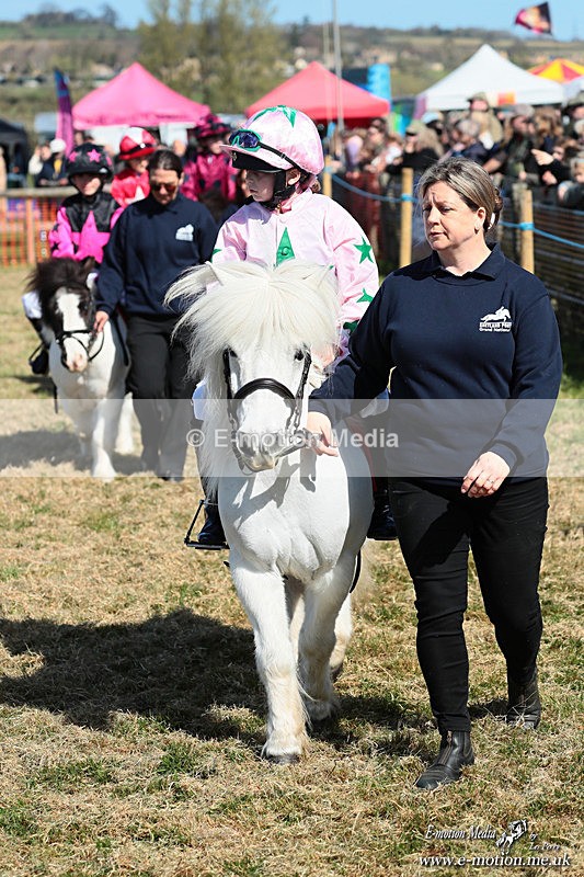 Shet 060426 99 - Shetland Pony Racing Paxford Races Easter Mon 06/04/26