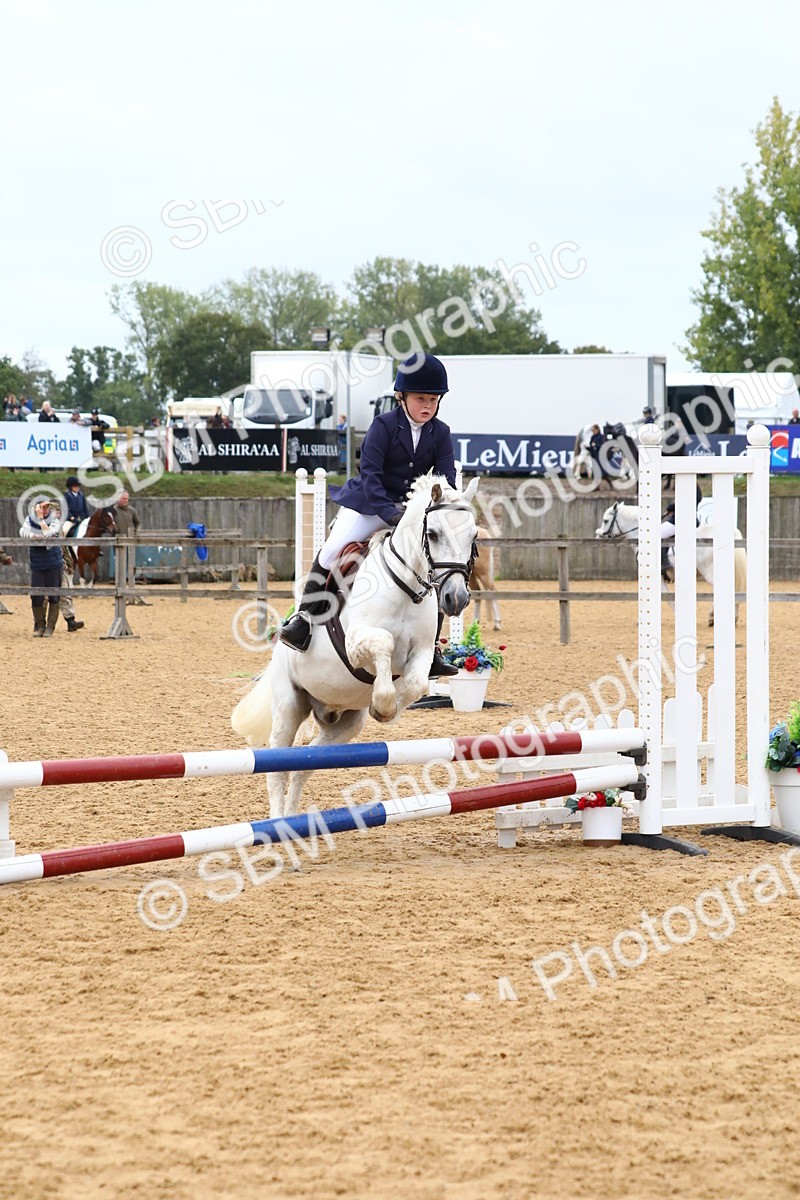 SBM_60044 - J63 - Junior Pony 50cm Championship