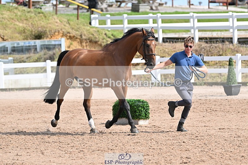 240717A-160026-03254 - Trot Up 4pm to 5pm