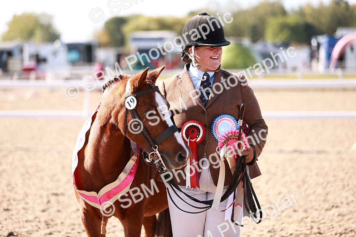 SBM_22732 - Class 704 - IH  Rescue