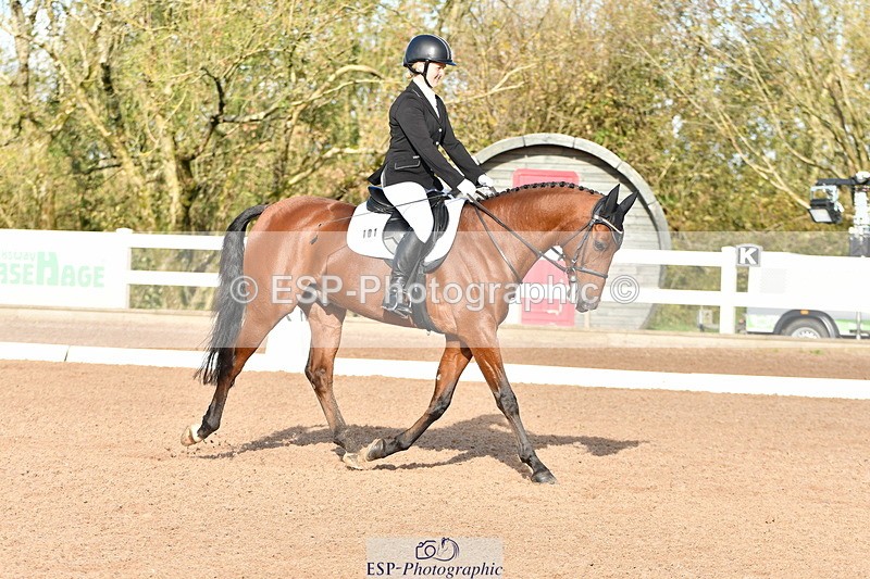 231105A-105811-00181 - UnAf Prelim 18