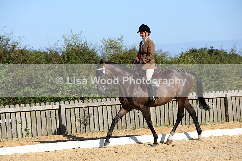 1X9A7647 - Class 7: Novice Ridden Hunter/Hack/Cob/Riding Horse