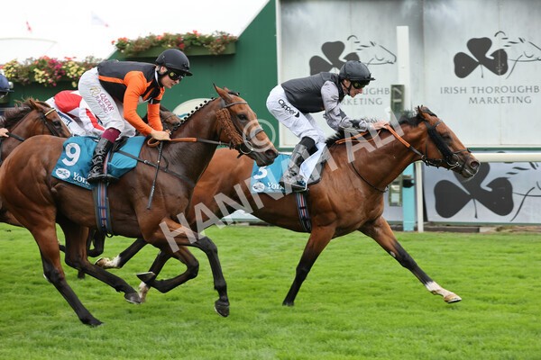 yr04092022r2-34 - Race 2 2.20pm John and Judith Marshall Memorial Stakes
