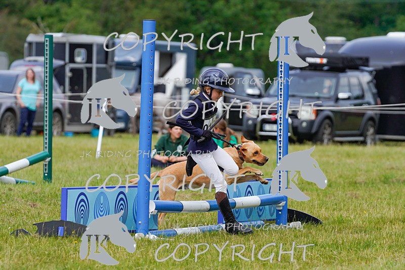 _DSC4892 - CLASS 7 HORSE & HOUND RING 2