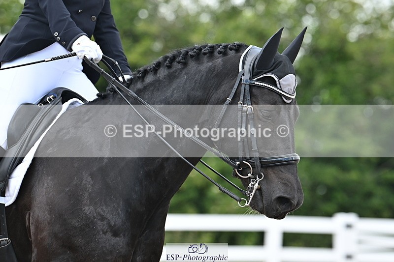 240621A-115143-02002 - Cls 7 BD Elementary 45