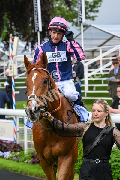 150524-Race 1-Crystal Delight-3675 - Race 1 2.15pm Sky Bet Race To The Ebor Jorvik Handicap