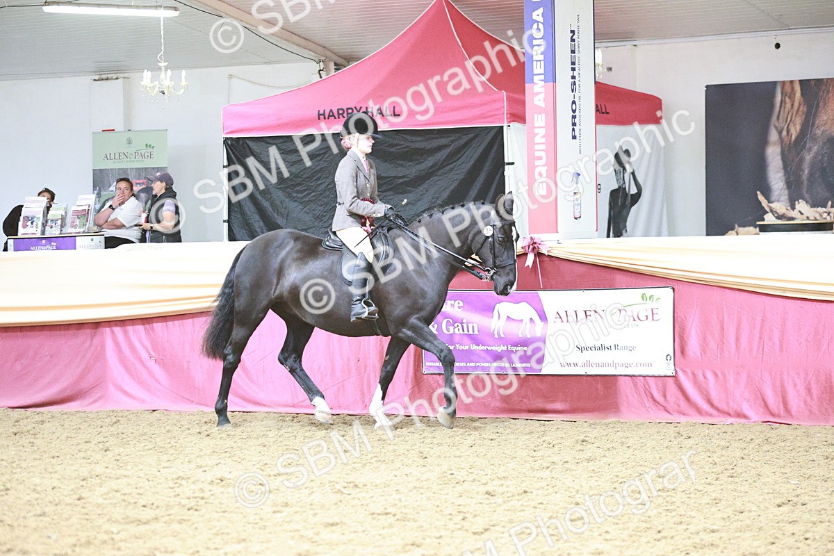 SBM_08640 - Regional Ridden Champ