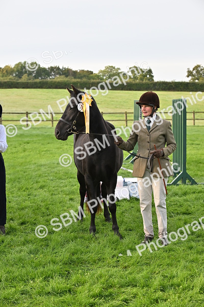 SBM_55389 - S44 - Youngstock In Hand