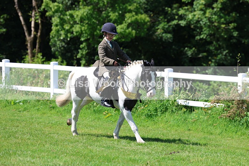 3E7A6854 - Working Hunter Pony Championship