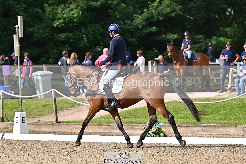 250523A-094031-05301 - C-258-Bill.Levett-ITALIAN.HARLEQUIN.NJ