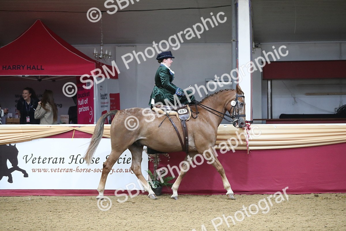 SBM_11529 - Class 105 Ridden Costume- Side Saddle