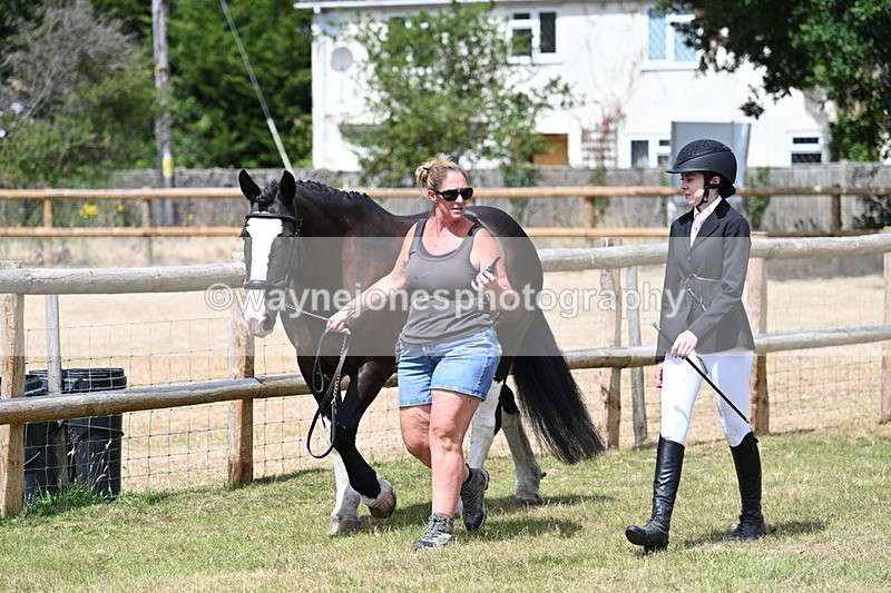 WJ7_1779 - Class 4a Prettiest Mare 14.2hh and over hand