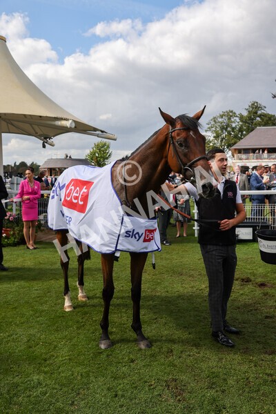 yr20082022r3-43 - Race 3 3.00pm Sky Bet City of York Stakes