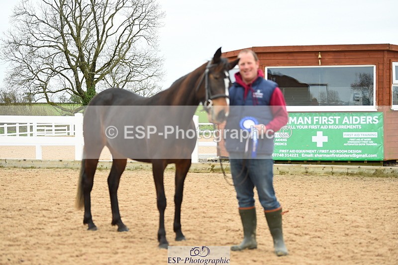 230416A-140914-04757 - Cls 46+43 In Hand Warmbloods and Foreign